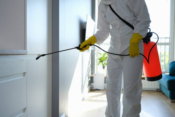 Best Mold Odor Removal Services  in Sawgrass, FL