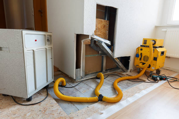 Best Mold Removal for HVAC Installations  in Sawgrass, FL