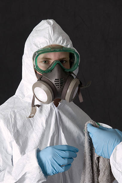 Sawgrass, FL Mold Removal Company